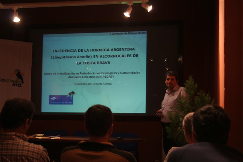 Imagen 016 (Medium)